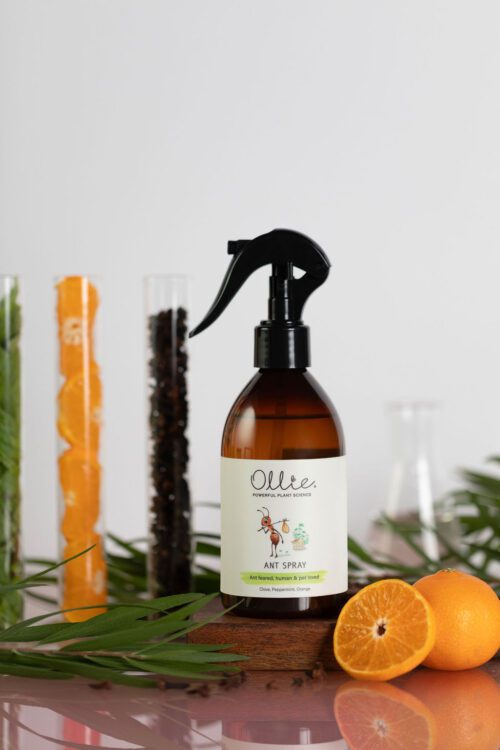 Ant Spray