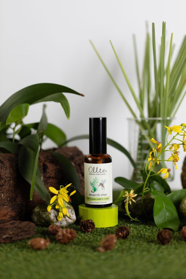 Travel Essentials - Image 3