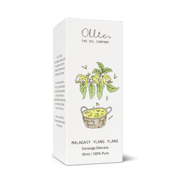 Malagasy Ylang Ylang Oil - Image 5