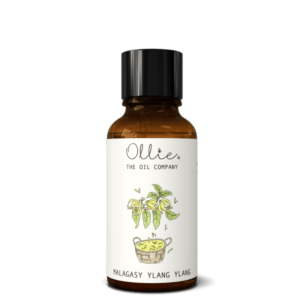 Malagasy Ylang Ylang Oil - Image 6