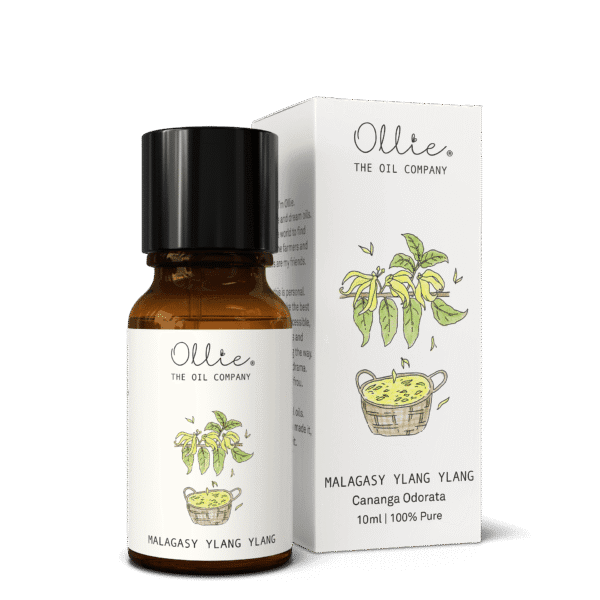 Malagasy Ylang Ylang Oil - Image 7