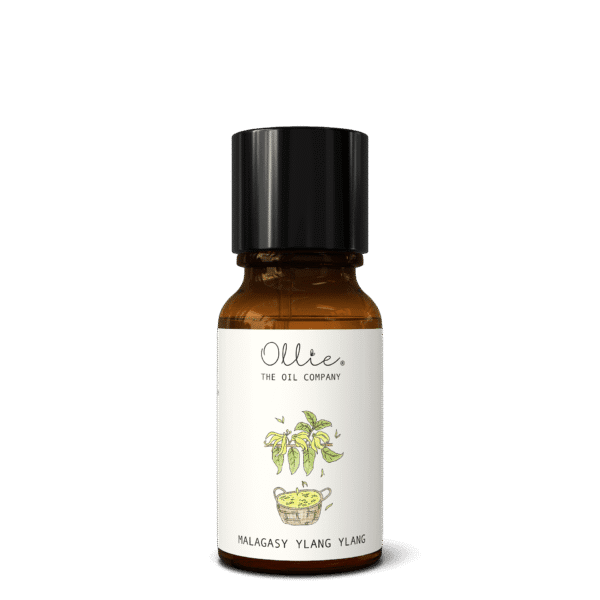Malagasy Ylang Ylang Oil - Image 9