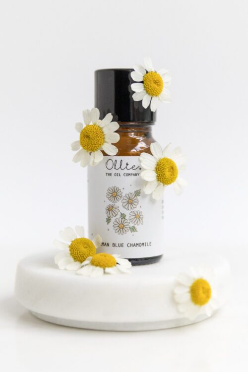German Blue Chamomile Oil