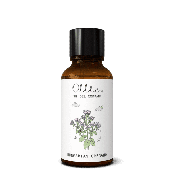 Hungarian Oregano Oil - Image 6