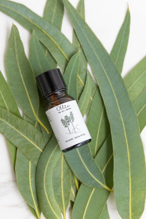 Nilgiri Eucalyptus Oil