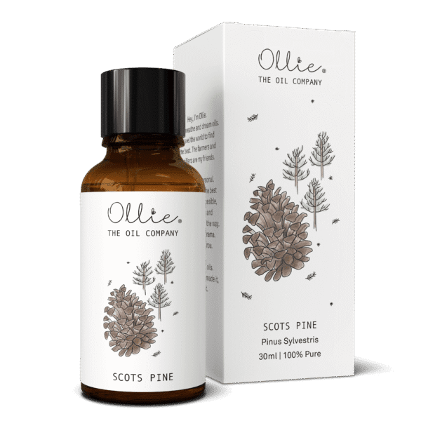 Scots Pine Oil - Image 5