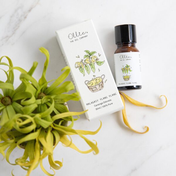 Malagasy Ylang Ylang Oil - Image 3