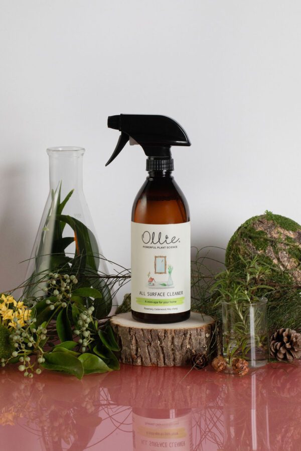 All Surface Cleaner - Image 2