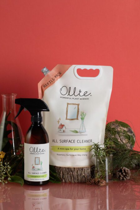 All Surface Cleaner - Image 2