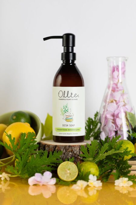 Dish Soap - Image 2
