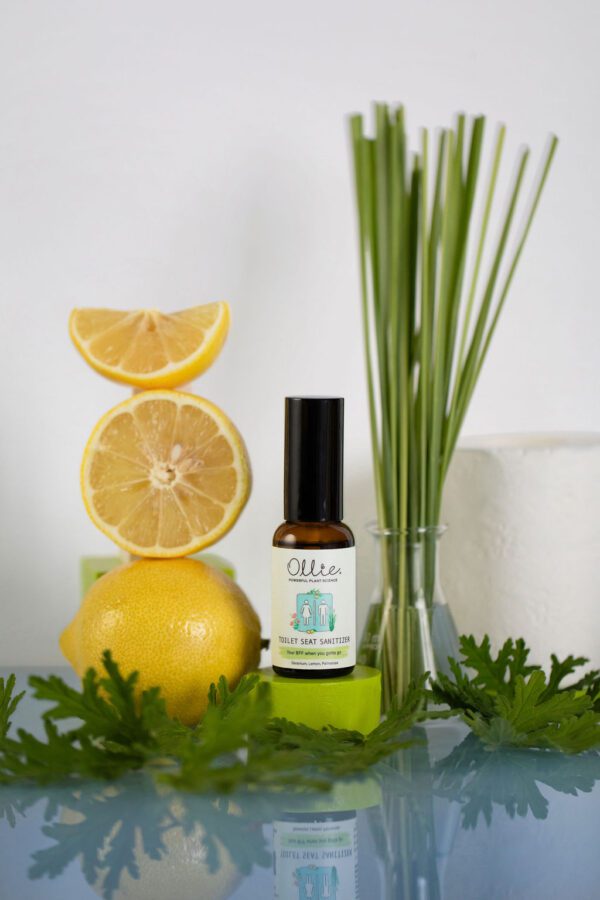 Travel Essentials - Image 5