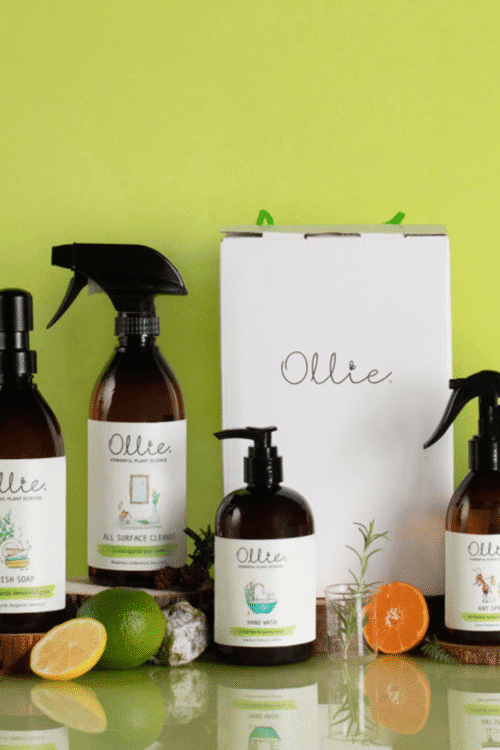 Ollie Home care gift box with all surface cleander, dish soap, hand wasy, and ant spray
