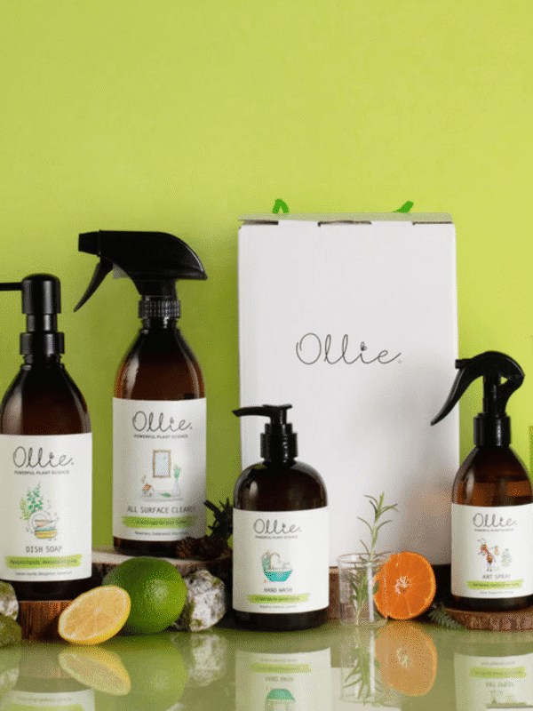 Ollie Home care gift box with all surface cleander, dish soap, hand wasy, and ant spray
