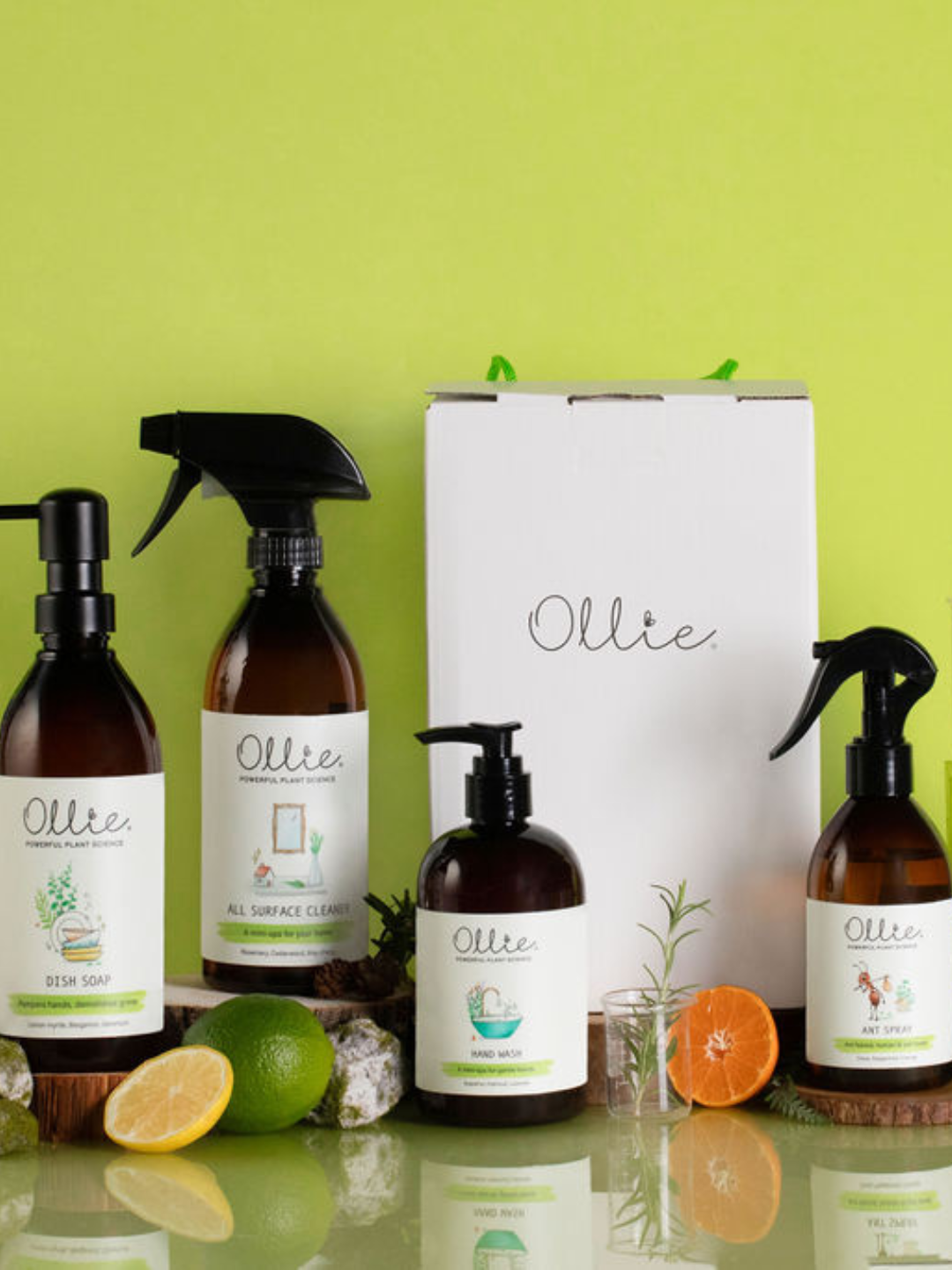 Ollie Home care gift box with all surface cleander, dish soap, hand wasy, and ant spray