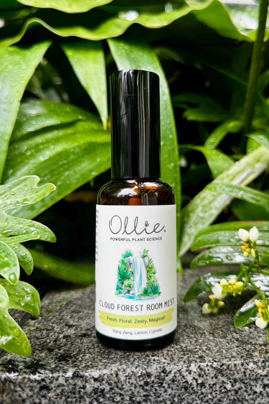 Ollie cloud forest room mist