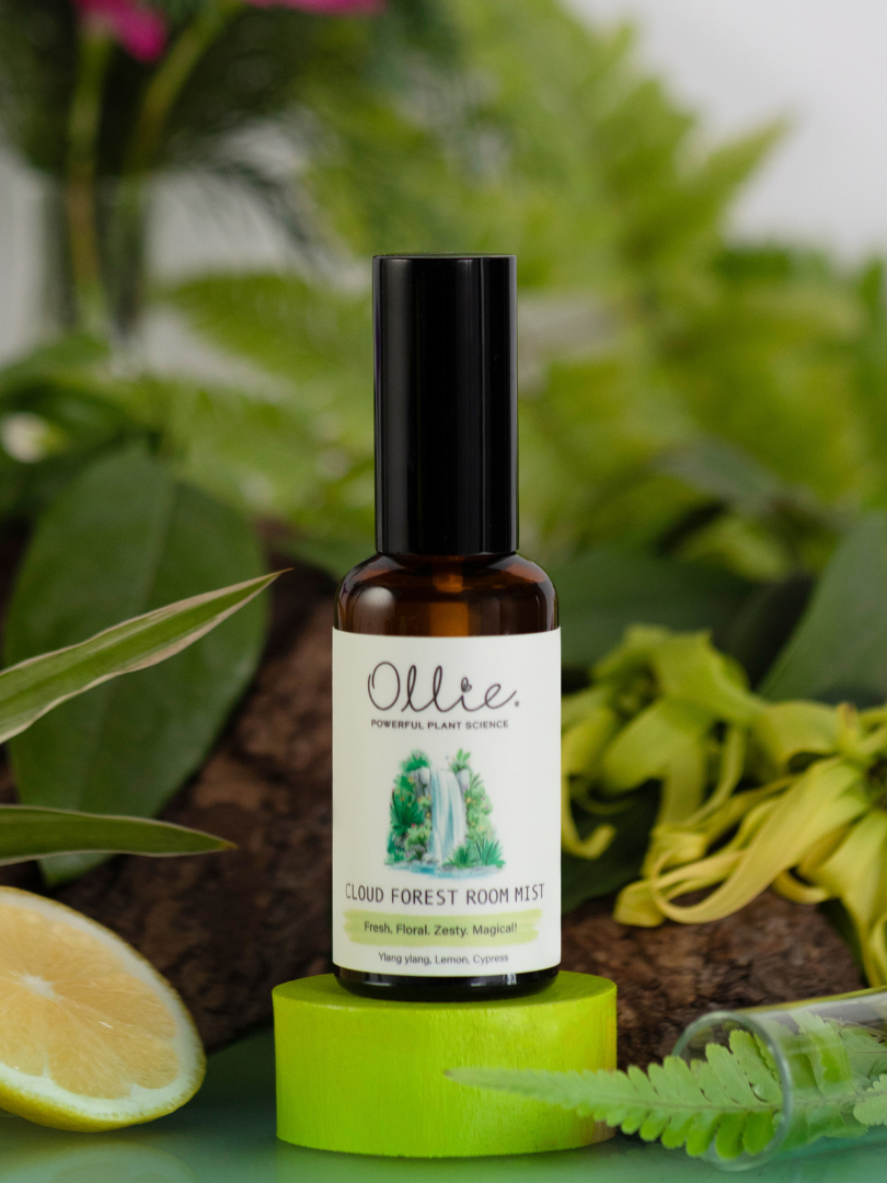 Cloud forest room mist