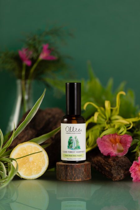 Cloud Forest Room Mist - Image 2