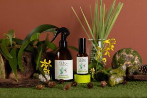 Ollie Mosquito repellant set