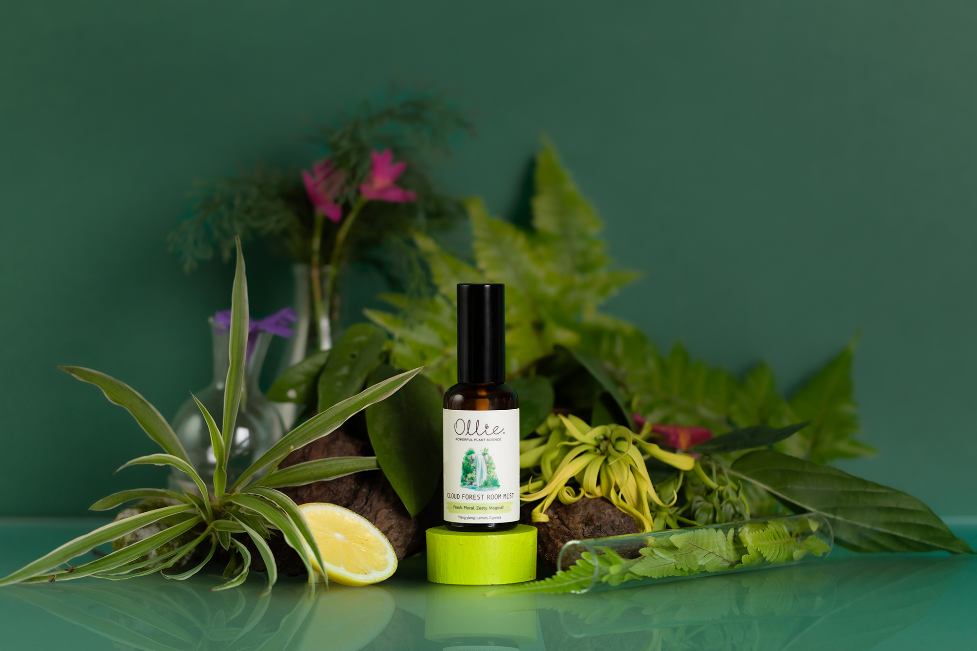 Ollie cloud forest room mist