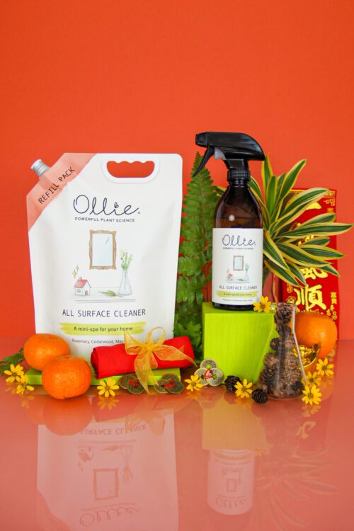 Clean Your Home Bundle