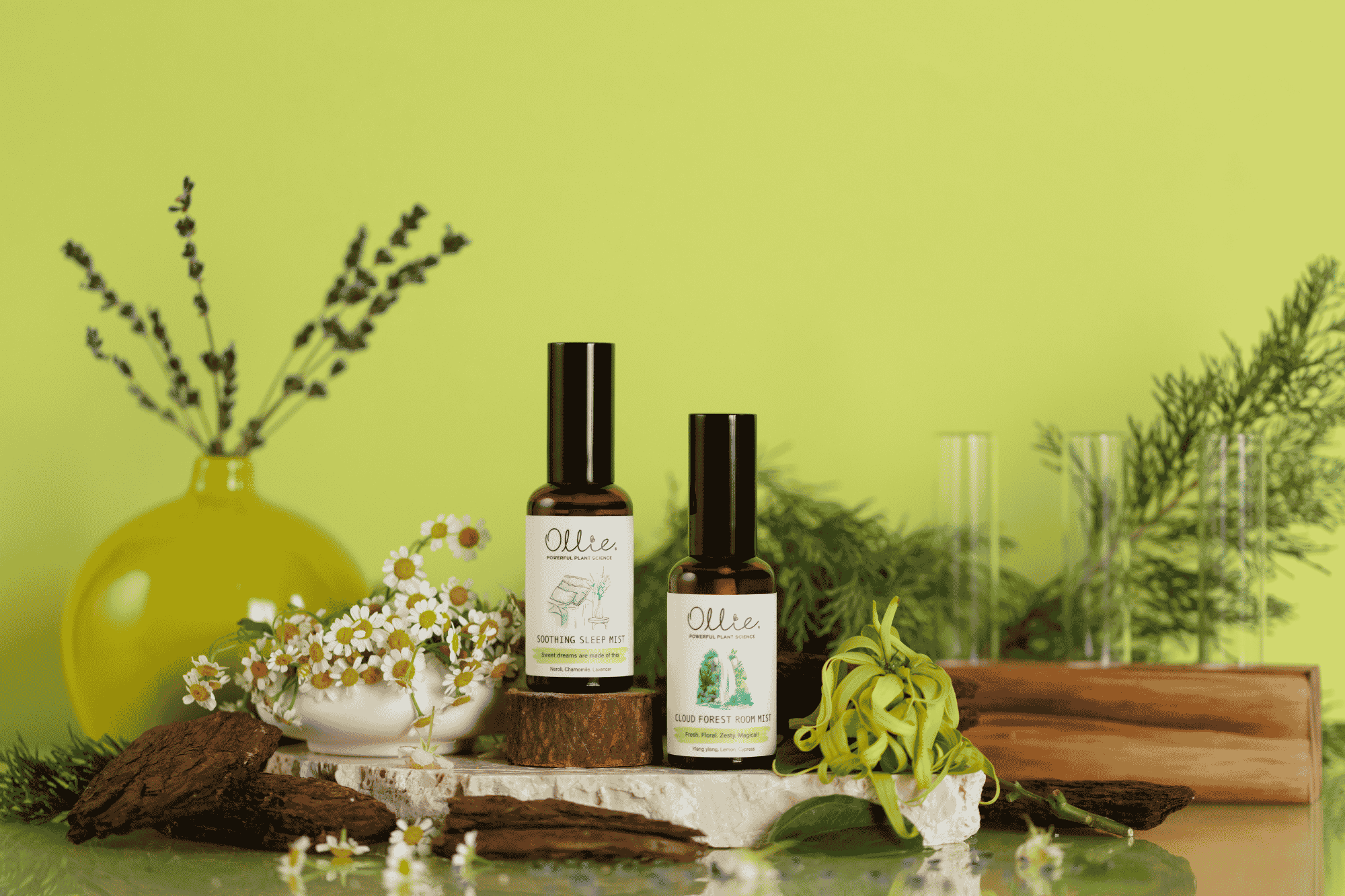 Ollie home fragrance