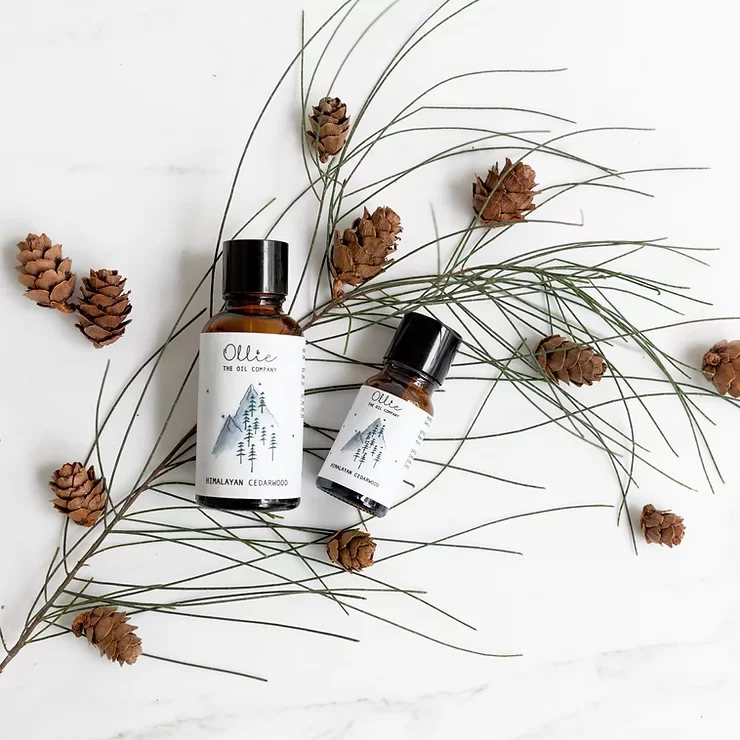 Cedarwood Essential Oil 1 Cedarwood Essential Oil 1