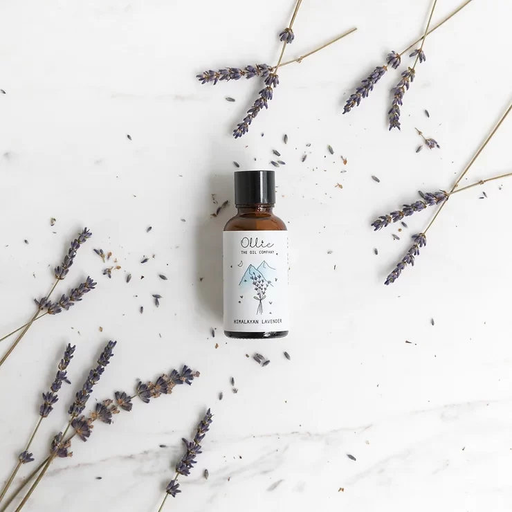 Himalayan Lavender Oil 7